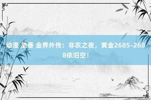 动漫 里番 金界外传：非农之夜，黄金2685-2688依旧空！