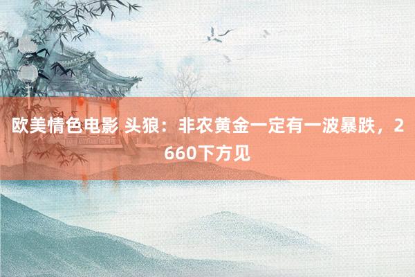欧美情色电影 头狼：非农黄金一定有一波暴跌，2660下方见