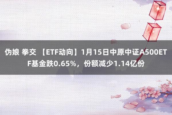 伪娘 拳交 【ETF动向】1月15日中原中证A500ETF基金跌0.65%，份额减少1.14亿份