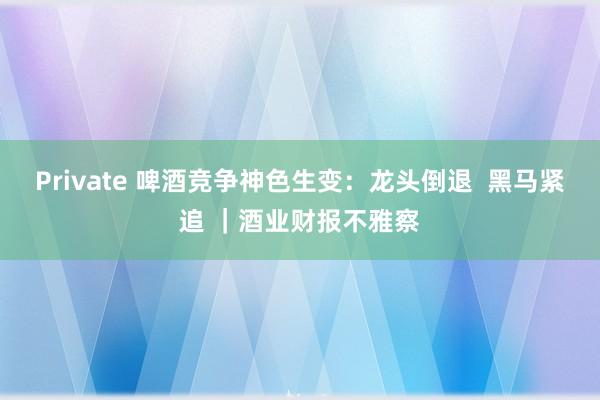 Private 啤酒竞争神色生变：龙头倒退  黑马紧追 ｜酒业财报不雅察