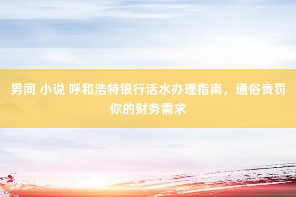 男同 小说 呼和浩特银行活水办理指南，通俗责罚你的财务需求