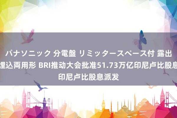 パナソニック 分電盤 リミッタースペース付 露出・半埋込両用形 BRI推动大会批准51.73万亿印尼卢比股息派发