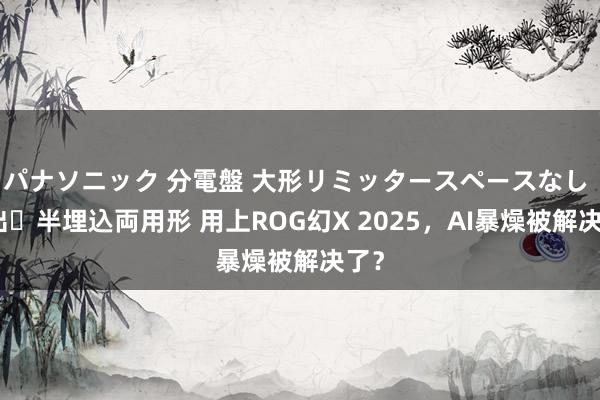 パナソニック 分電盤 大形リミッタースペースなし 露出・半埋込両用形 用上ROG幻X 2025，AI暴燥被解决了？