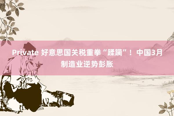 Private 好意思国关税重拳“蹂躏”！中国3月制造业逆势彭胀