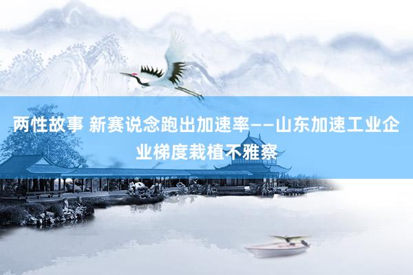 两性故事 新赛说念跑出加速率——山东加速工业企业梯度栽植不雅察