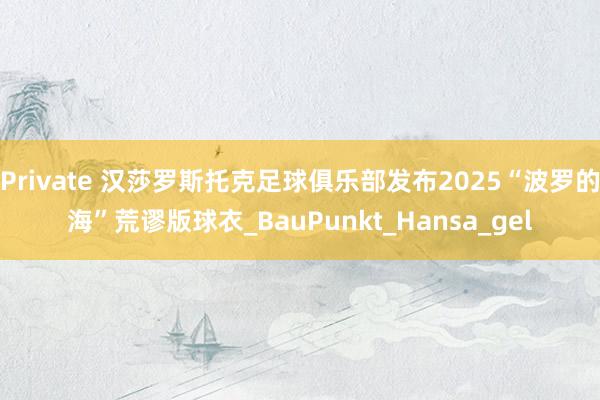 Private 汉莎罗斯托克足球俱乐部发布2025“波罗的海”荒谬版球衣_BauPunkt_Hansa_gel