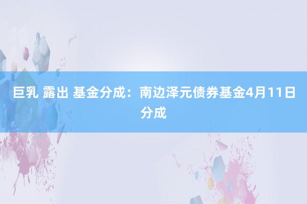 巨乳 露出 基金分成：南边泽元债券基金4月11日分成