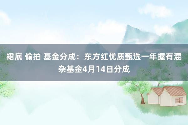 裙底 偷拍 基金分成：东方红优质甄选一年握有混杂基金4月14日分成
