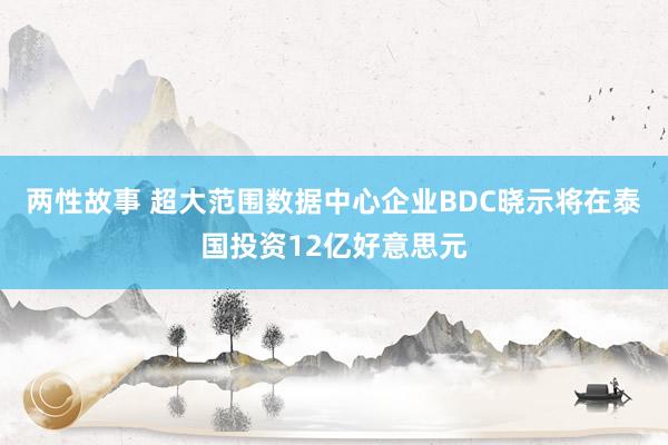 两性故事 超大范围数据中心企业BDC晓示将在泰国投资12亿好意思元