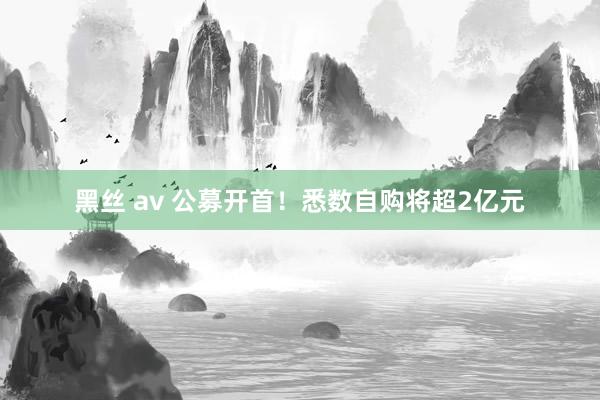 黑丝 av 公募开首！悉数自购将超2亿元
