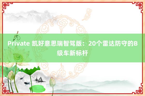 Private 凯好意思瑞智驾版：20个雷达防守的B级车新标杆