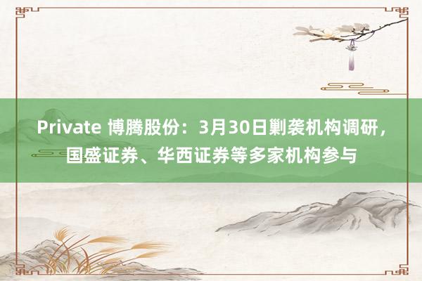 Private 博腾股份：3月30日剿袭机构调研，国盛证券、华西证券等多家机构参与
