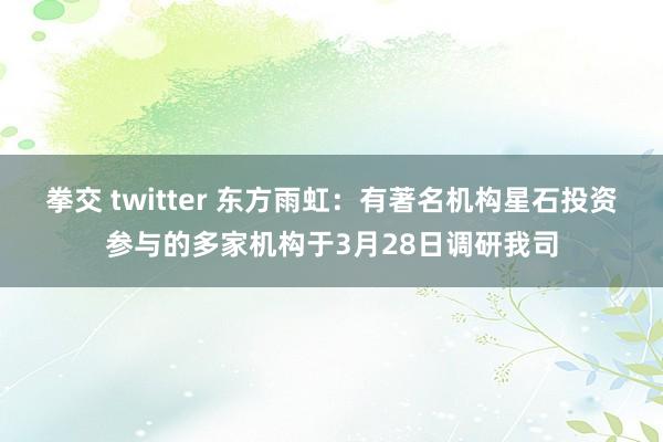 拳交 twitter 东方雨虹：有著名机构星石投资参与的多家机构于3月28日调研我司