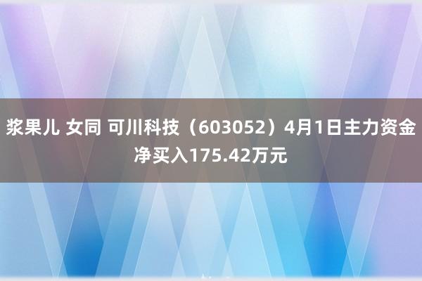 浆果儿 女同 可川科技（603052）4月1日主力资金净买入175.42万元