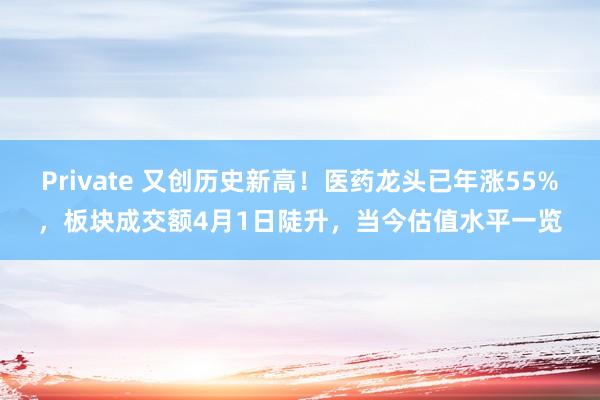 Private 又创历史新高！医药龙头已年涨55%，板块成交额4月1日陡升，当今估值水平一览