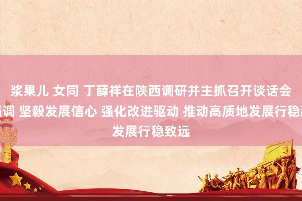 浆果儿 女同 丁薛祥在陕西调研并主抓召开谈话会时强调 坚毅发展信心 强化改进驱动 推动高质地发展行稳致远