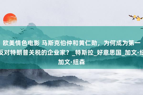 欧美情色电影 马斯克伯仲和黄仁勋，为何成为第一批反对特朗普关税的企业家？_特斯拉_好意思国_加文·纽森