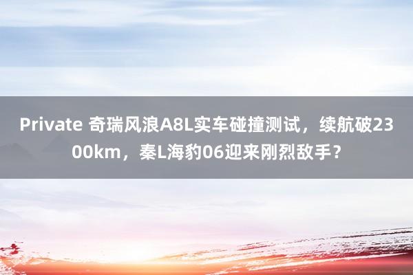 Private 奇瑞风浪A8L实车碰撞测试，续航破2300km，秦L海豹06迎来刚烈敌手？