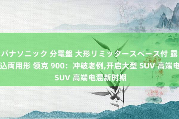 パナソニック 分電盤 大形リミッタースペース付 露出・半埋込両用形 领克 900：冲破老例，开启大型 SUV 高端电混新时期