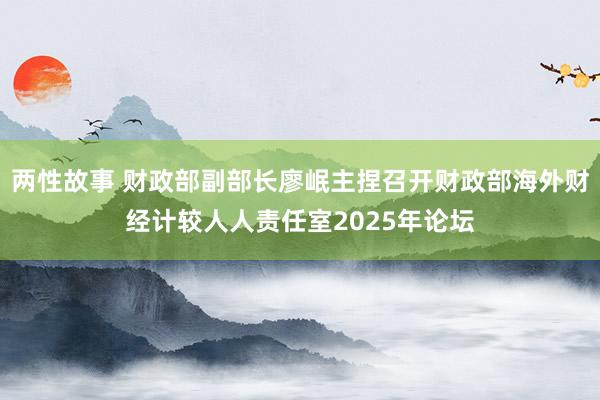 两性故事 财政部副部长廖岷主捏召开财政部海外财经计较人人责任室2025年论坛