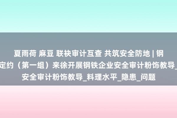 夏雨荷 麻豆 联袂审计互查 共筑安全防地 | 钢铁企业安全坐蓐勾搭定约（第一组）来徐开展钢铁企业安全审计粉饰教导_料理水平_隐患_问题