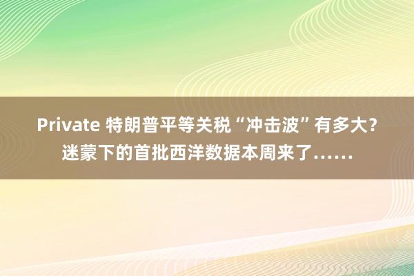 Private 特朗普平等关税“冲击波”有多大？迷蒙下的首批西洋数据本周来了……