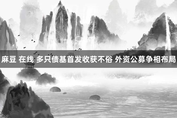 麻豆 在线 多只债基首发收获不俗 外资公募争相布局