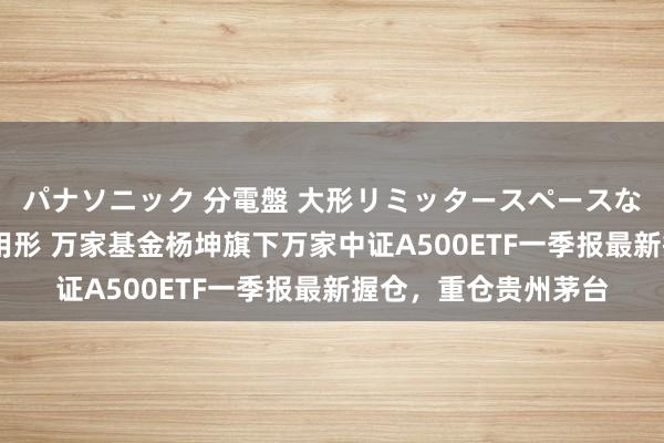 パナソニック 分電盤 大形リミッタースペースなし 露出・半埋込両用形 万家基金杨坤旗下万家中证A500ETF一季报最新握仓，重仓贵州茅台