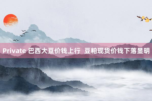 Private 巴西大豆价钱上行  豆粕现货价钱下落显明