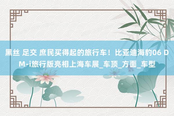 黑丝 足交 庶民买得起的旅行车！比亚迪海豹06 DM-i旅行版亮相上海车展_车顶_方面_车型