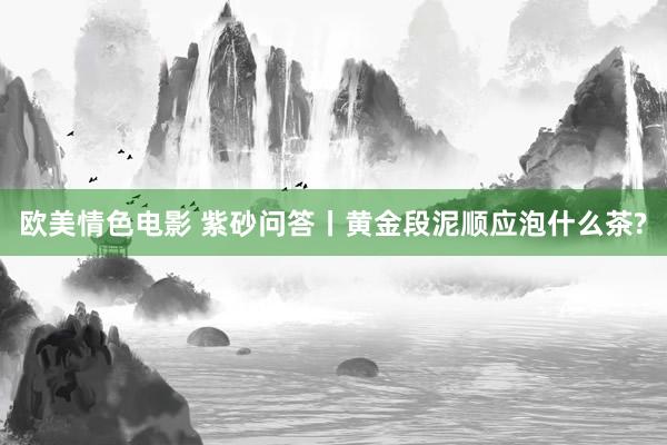 欧美情色电影 紫砂问答丨黄金段泥顺应泡什么茶?