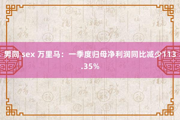 男同 sex 万里马：一季度归母净利润同比减少113.35%