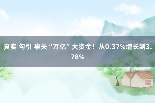 真实 勾引 事关“万亿”大资金！从0.37%增长到3.78%