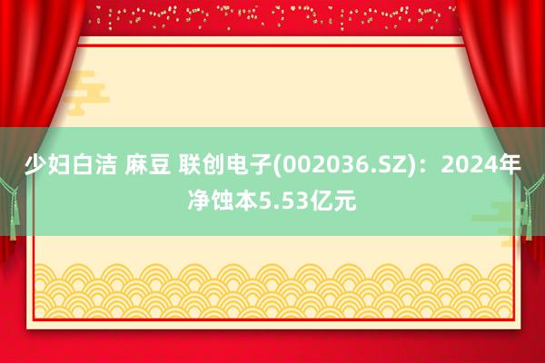 少妇白洁 麻豆 联创电子(002036.SZ)：2024年净蚀本5.53亿元